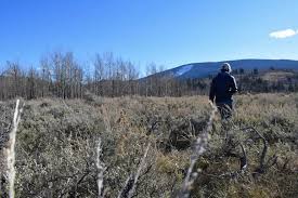 Thousands of Wyomingites reject proposed 'Kelly Parcel' auction