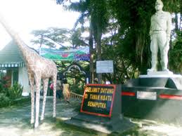 Hasil gambar untuk senaputra malang