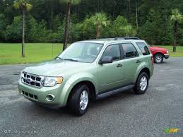Image result for Kiwi Green 2009 Escape