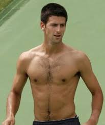 novak djokovic portrait, tennis novak ...