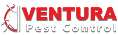 Instead of fangs, they have. Ventura Pest Control Blog Pest Pressures In Ventura County Ca