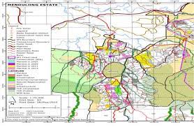 We aim to be the best. Figure 1 From Nocturnal Terrestrial Mammals Population In Sabah Forest Industries Sfi Forest Plantation Sipitang Semantic Scholar