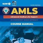 AMLS
