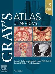 Gray S Atlas Of Anatomy 3rd Edition Free Pdf Epub Medical Books Anatomy Free Medical Greys Anatomy