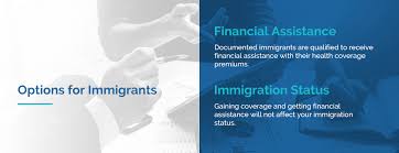 Encyclopedia of small business dictionary. Green Card Immigrant Health Insurance Plans Hfc