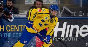 Jun 29, 2000 · filip hallander played in one league over the course of his career. 2018 Nhl Entry Draft Prospect Profile Filip Hallander