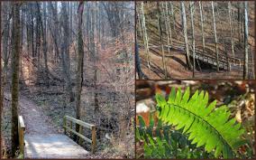 western traveler.org cedar sink trail