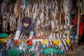 The different characteristics of the fisherwomen who are also known as kolins in local language is just an amazing sight. Fish Market Cavvy Chin Photography