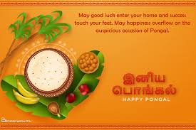 Rating 5 rating, 1 votes, 3449 views send this card to your friends. Beautiful Pongal Greeting Cards In Tamil Free Download