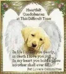 Who has lost a pet, 17 Praying For Dog Ideas Dog Quotes Rainbow Bridge Sending Prayers