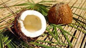 Wir beraten sie gerne zum thema. Die Kokosmatte Der Allzweckhelfer Fur Den Garten