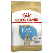 For sale is the fifth album by german pop band fool's garden, released in 2000. Royal Canin Labrador Junior Dog Food Petbarn