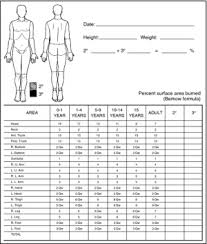 Estimate tbsa to nearest 10% using rule of nines. Estimating Body Surface Area Wikem