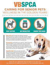 vbspca news virginia beach spca in 2020 pet wellness spca dog potty training