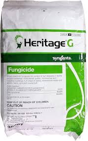 Both come in a ready to use granular formular that can be put out with a hand or push spreader, depending on the size of the area needed to be treated. Scotts Disease Ex Vs Bioadvanced By Bayer Fungus Control Around The Lawn