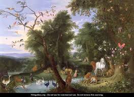 The Garden Of Eden Jan Van Kessel Garden Of Eden Garden Painting Art Uk