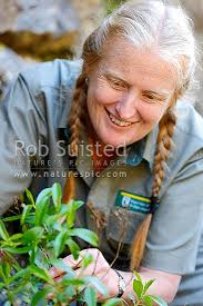 Jan Clayton-Greene, Department of Conservation botanist, at Hells Gate,  Wairau Gorge. Portrait, Molesworth Station, Marlborough District,  Marlborough Region, New Zealand (NZ). Stock photo from New Zealand (NZ).  Photos and Stock Photography by