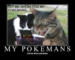 Image result for lolcats