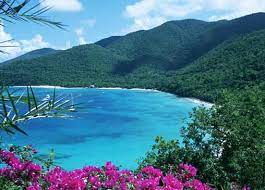 Cinnamon Bay St John Usvi Beach Vacation Spots Dream Vacation Spots Virgin Islands National Park