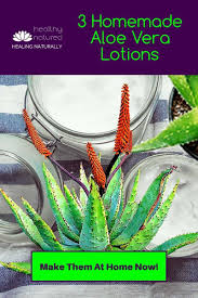 3 aloe vera cream recipes recipe aloe vera cream aloe vera skin care aloe vera