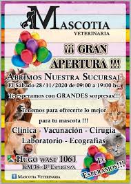 Veterinaria Mascotia