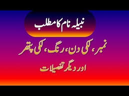 Nabila Name Meaning In Urdu Nabila Naam Ka Matlab نبیلہ نام کا مطلب Names With Meaning Meant To Be Names