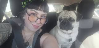 Unregistered microchip found in Beaumont area