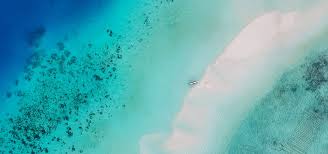 直接 jpg4.us をアドレス欄に入力してアクセスしてください。 please use the address jpg4.us to directly visit this site. Marine Regions Forum Prog
