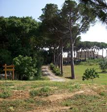 Agriturismo Podere San Bartolomeo Castagneto Carducci Livorno Toscana