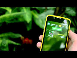 This app has both the design and functionality on its side, which is a duo that most apps try to achieve. Top 9 Best Plant Flower Identification Android Apps 2021