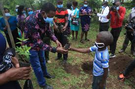 Alfred mutua, a government spokesman, called the accusations ridiculous. what is really happening is a continuation of the ethnic cleansing that raila's people are doing to kill the president's people. Dr Alfred Mutua On Twitter Increasing Tree Cover In Areas With Water Projects Ensures A Higher Survival Rate Of The Trees As We Plant More Trees In Other Drier Areas During The