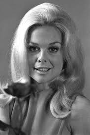 Get Smart 4x24 "Greer Window"