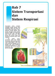 (1) karbondioksida larut dalam plasma dan membentuk asam karbonat dengan enzim anhydrase. Bab 7 Sistem Transportasi Dan Sistem Respirasi