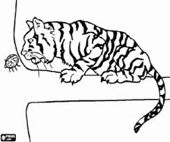 Ma un giorno esce in superficie e si ritrova in un mondo che ha subito una mutazione. Disegni Di Felini Da Colorare E Stampare 2
