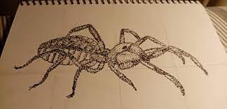 They can walk on sand better than you and they can drink 30 gallons of water in 13 minutes. Camel Spider By Me My First Time Trying This Style I Think It Turned Out Ok Spiderbro