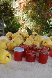 Gelee De Coings Simplissime Recette Gelee De Coing Recette Gelee Et Recette Coing
