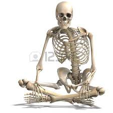 Anatomical Correct Male Skeleton 3d Rendering Male Skeleton Skeleton Drawings Human Skeleton