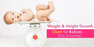 Indian Baby Height Weight Chart According To Age First 12