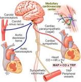 Image result