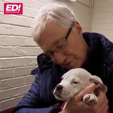 For The Love Of Dogs fans issue desperate plea for 'new Paul O'Grady' Pete  Wicks to replace Alison Hammond as host ❤️ 🐶 ⬇️