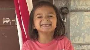 What is a Cane Corso? Dog breed explained after Jack Fincham jailed over  attack