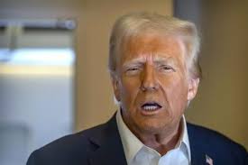 Liz Cheney/Adam Kinzinger Against Trump