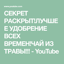 секрет раскрыт лучшее удобрение всех времен чай из травы Sekret Raskryt Luchshee Udobrenie Vseh Vremen Chaj Iz Travy Youtube Trava Sekret Chaj