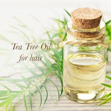 There are a couple of ingredients that do wonders for both skin and hair. 8 Simple Ways To Use Tea Tree Oil For Hair Kama Ayurveda