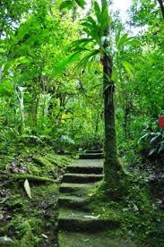 Belle Vue Sur Le Jardin Photo De Domaine D Emeraude Le Morne Rouge Tripadvisor Ile Francaise Martinique Petites Antilles