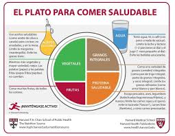 5 Consejos Para Comer Saludable Y Equilibrado Salud Comefruta