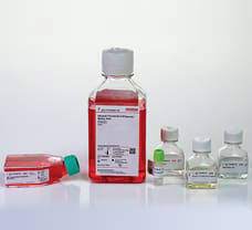 Check spelling or type a new query. Buy Ezxpand Human Umbilical Vein Endothelial Cell Culture Kit Cck026 T25 In India Biomall