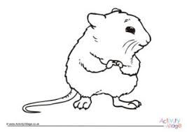 You can also show them a beautiful and colorful picture of a sunflower and ask your little one to color this one in the same manner. Hamsters