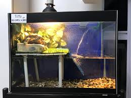 I decided to make a new basking spot for bubbles and squirt. Turtle Basking Ideas