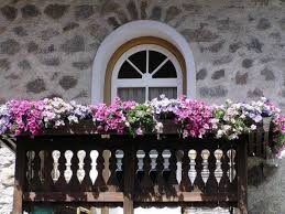 He incluso, en los viveros hay macetas con bases de altura que sirven como enredadera. Balcones Decoracion De Balcones Consejos Para Balcones Decoracion Plantas Plantas De Exterior Plantas Colgantes